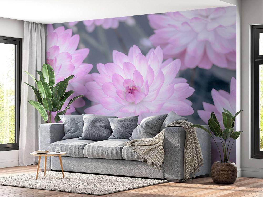 Dahlia bloemen roze