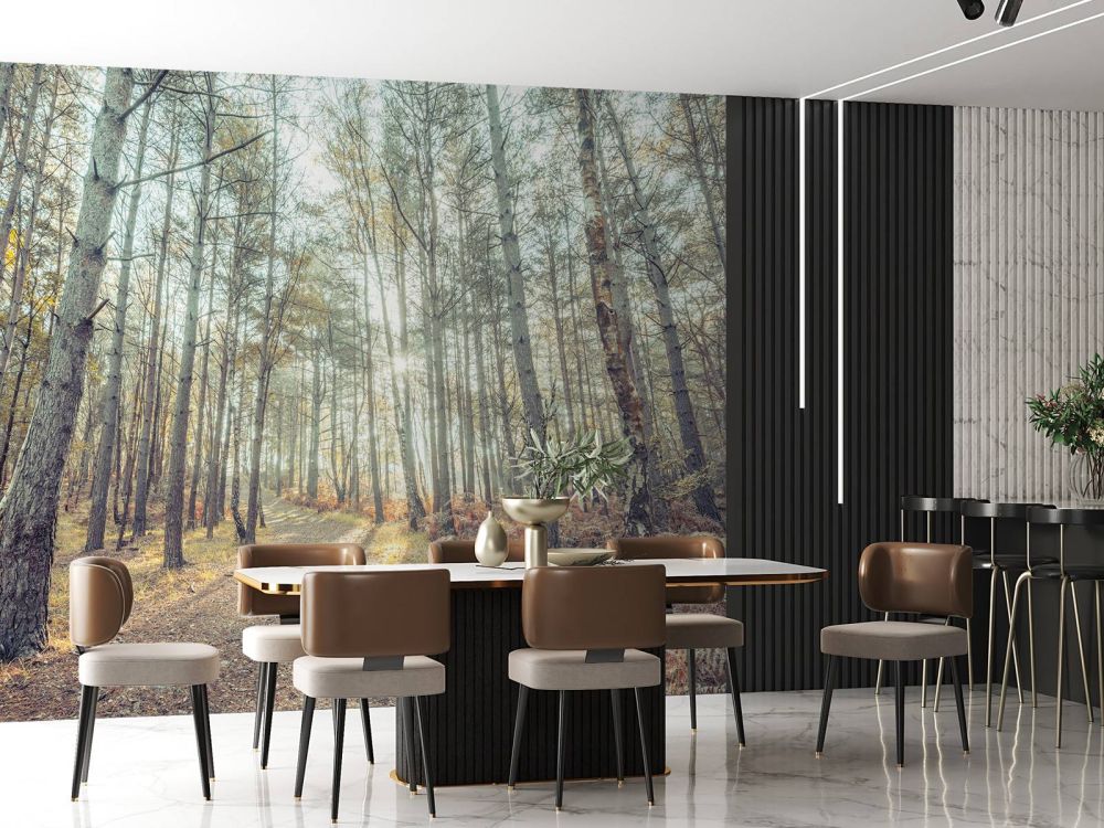 Pad door het zonnige bos