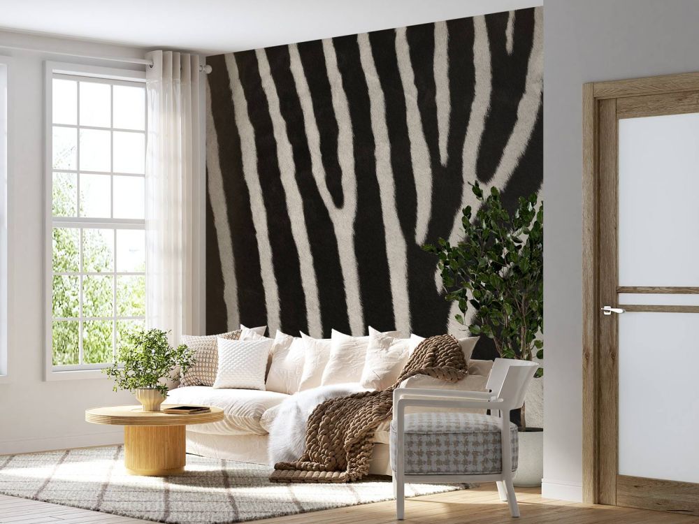 Zebra vacht