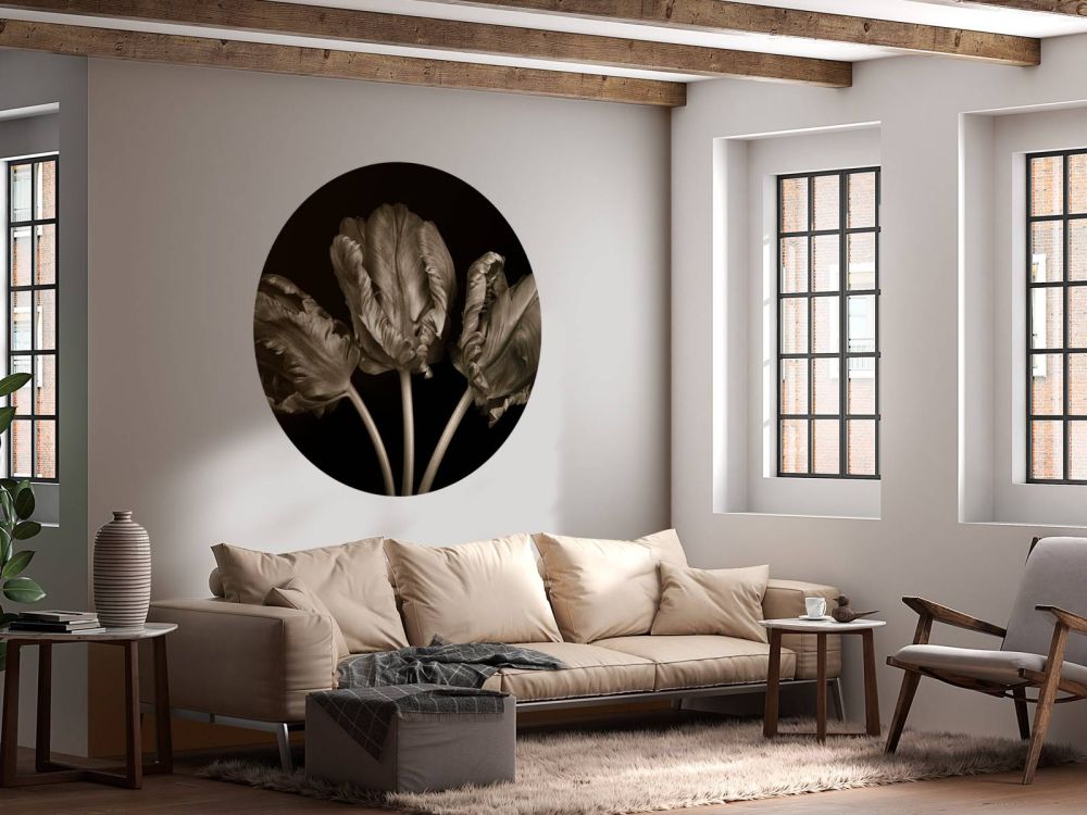 Drie Rococo tulpen
