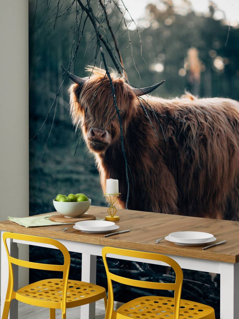 Schotse hooglander aan de bosrand