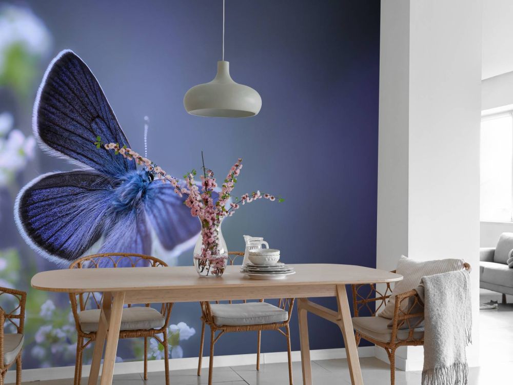 Blauwe vlinder