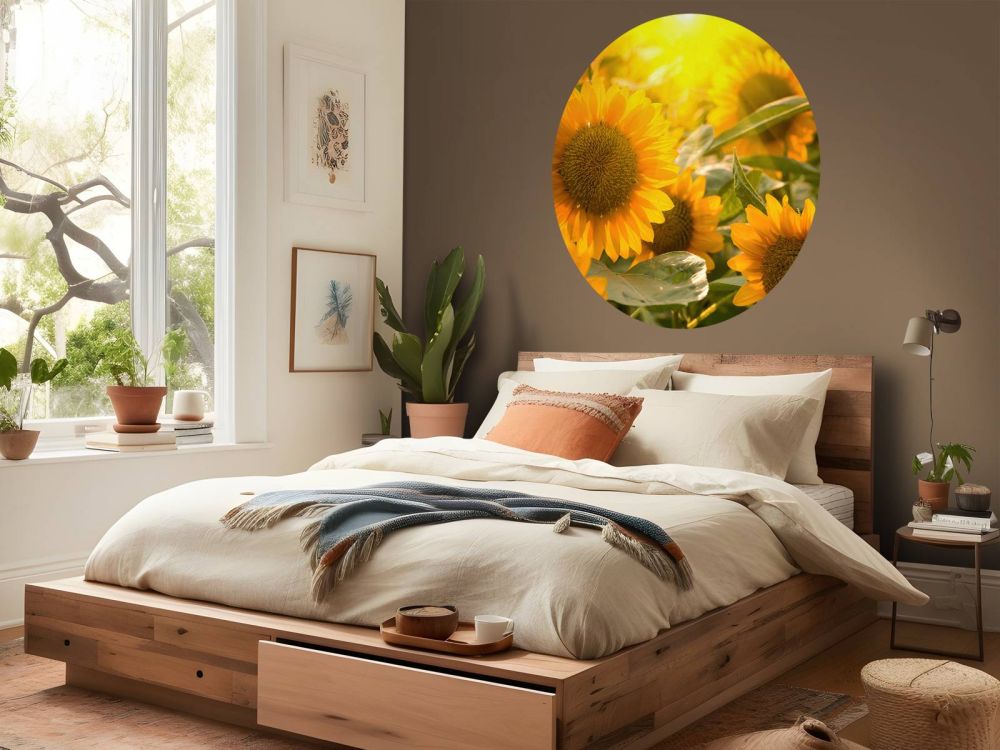 Zonnebloemen en zon