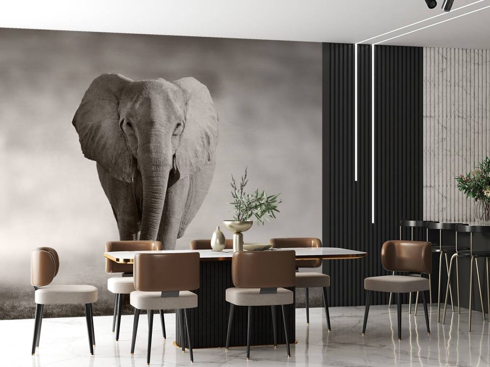 Mooie olifant