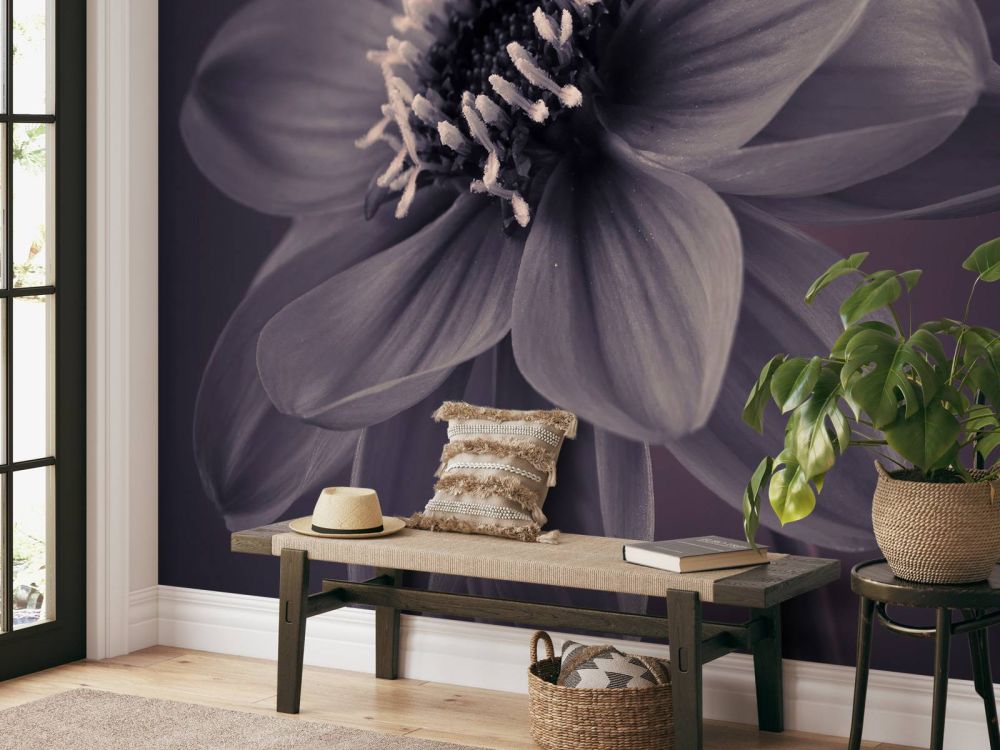 Donkere dahlia bloem