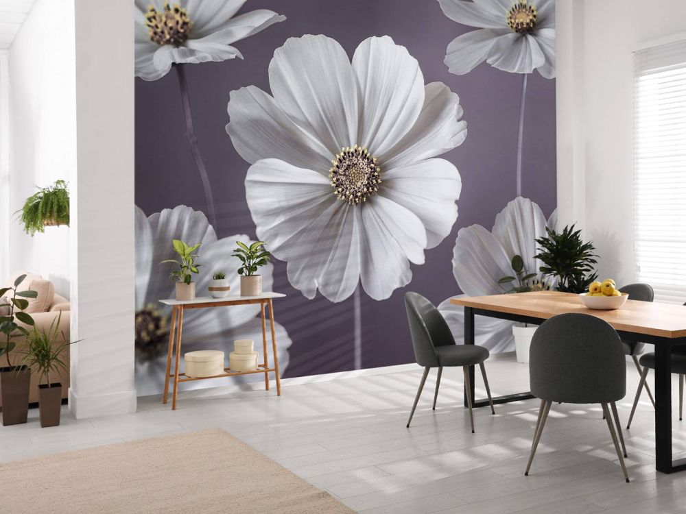 Cosmos bloemen