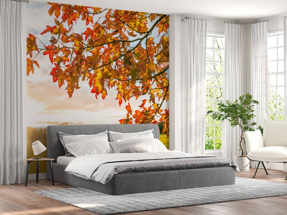 Herfstboom bij zonsondergang