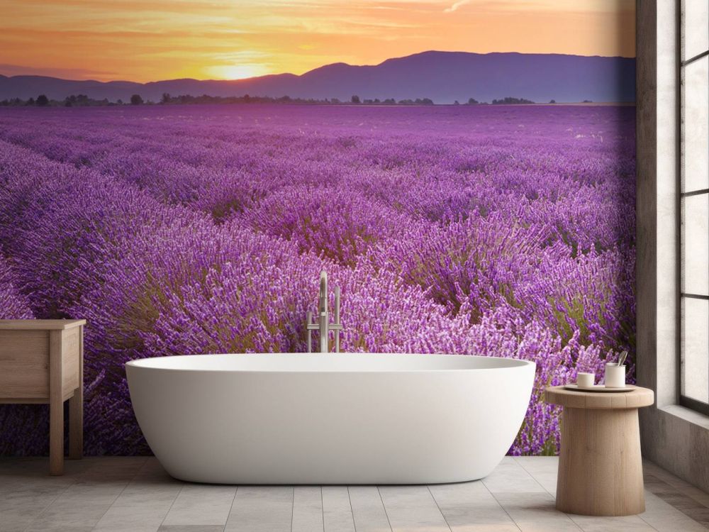 Veld vol lavendel