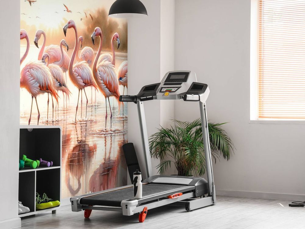 Serene Flamingo Sunrise
