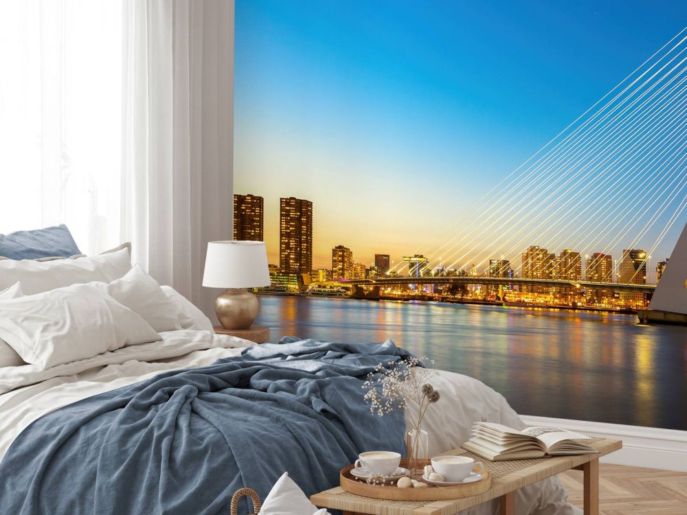Erasmusbrug