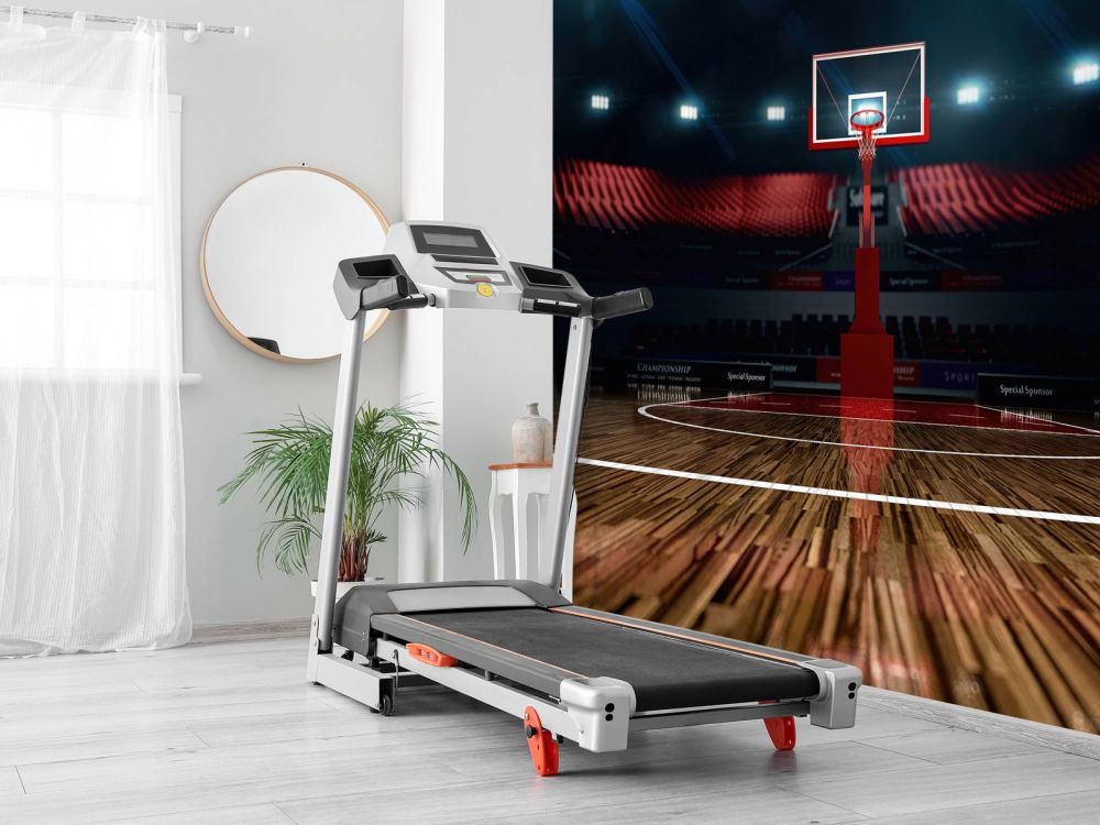 Basketbal arena