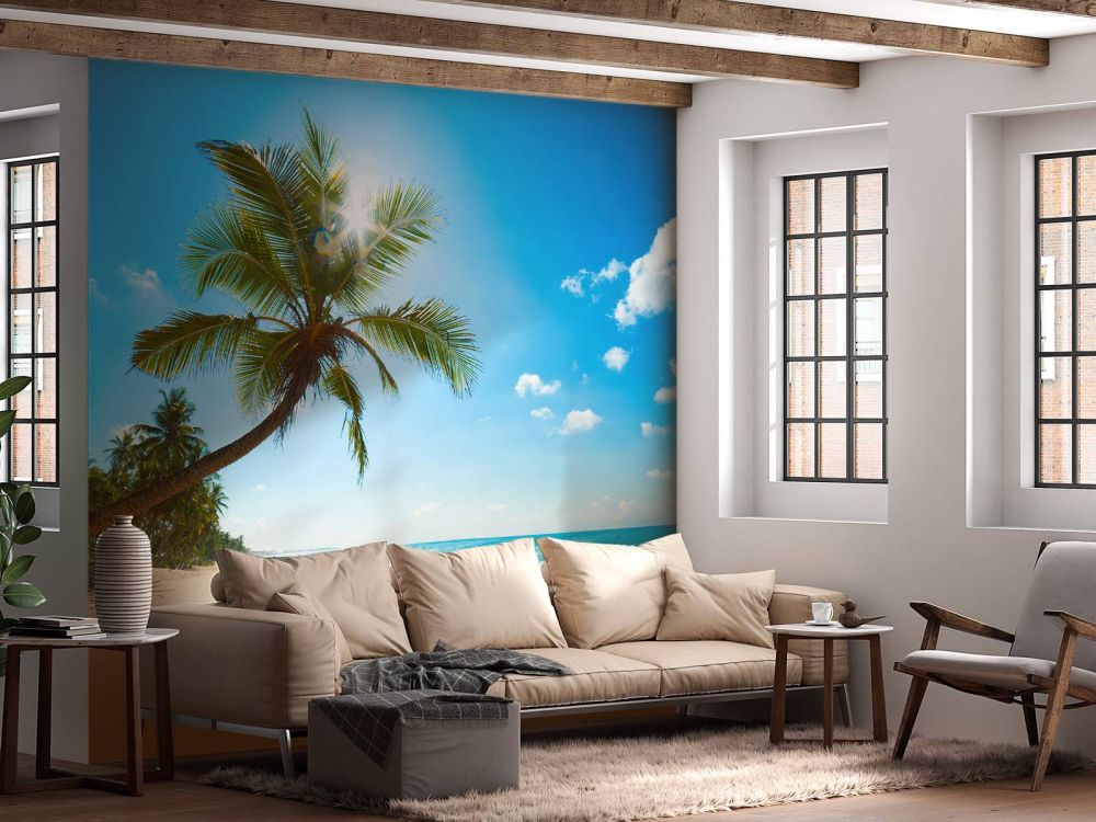 Grote palmboom