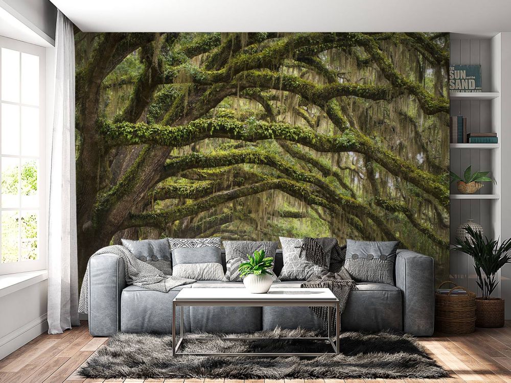 Eikenbomen