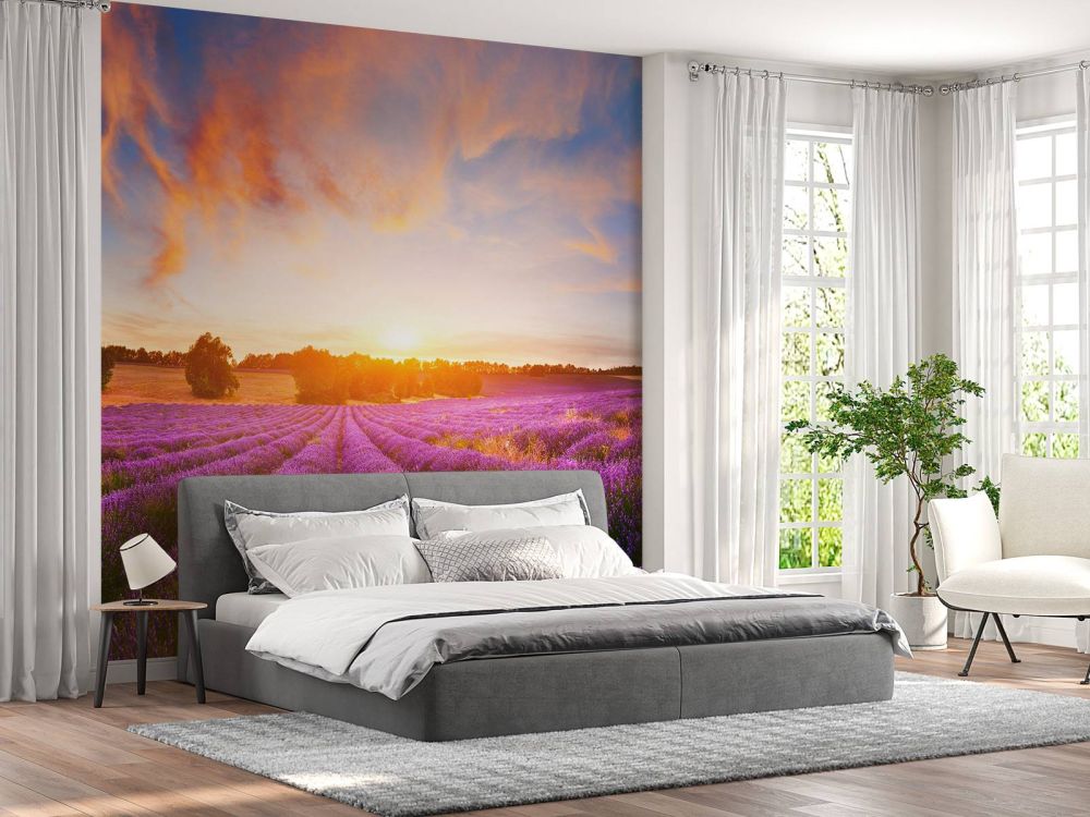 Lavendel Veld op fotobehang