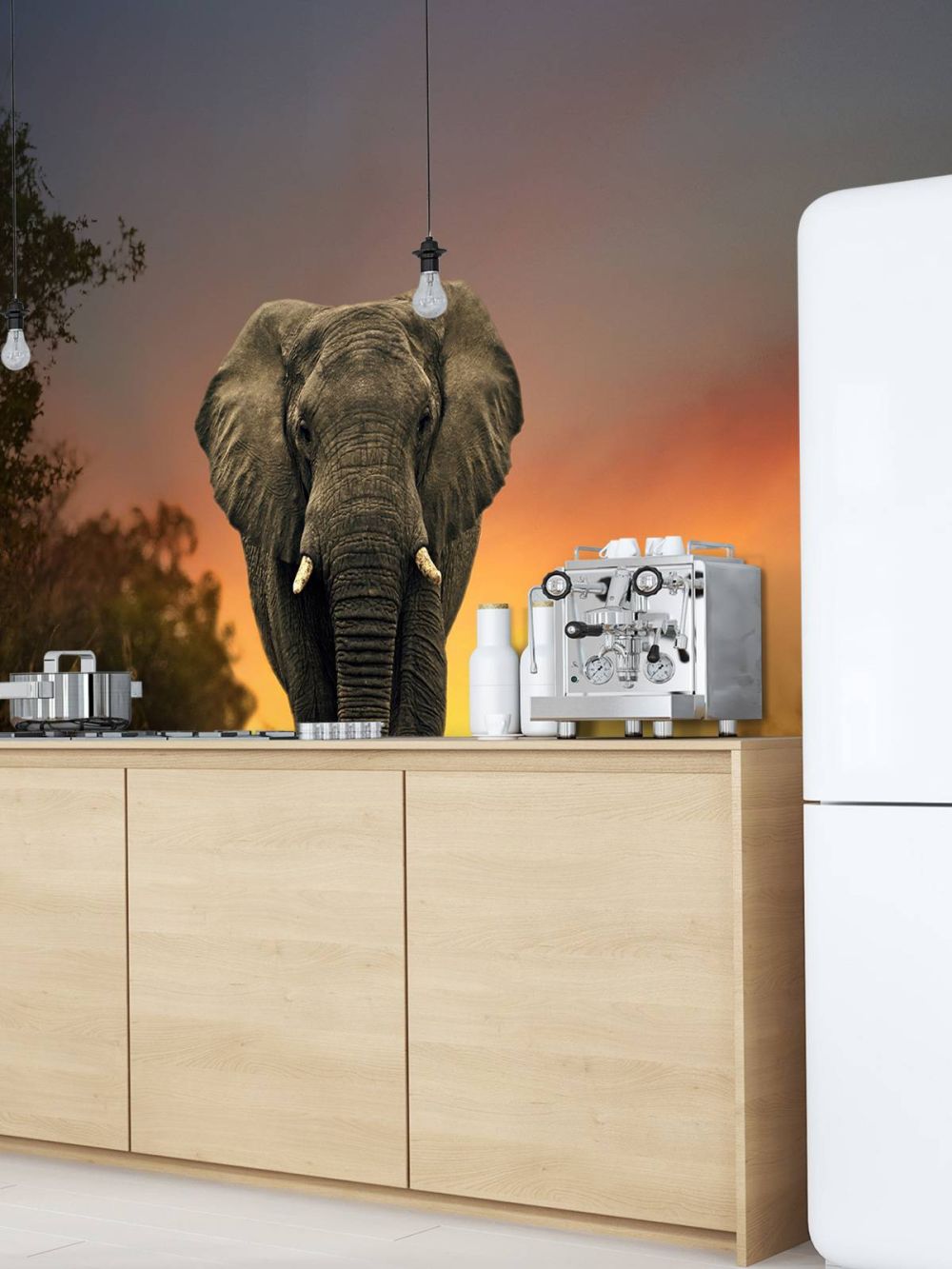 Olifant in de zonsondergang