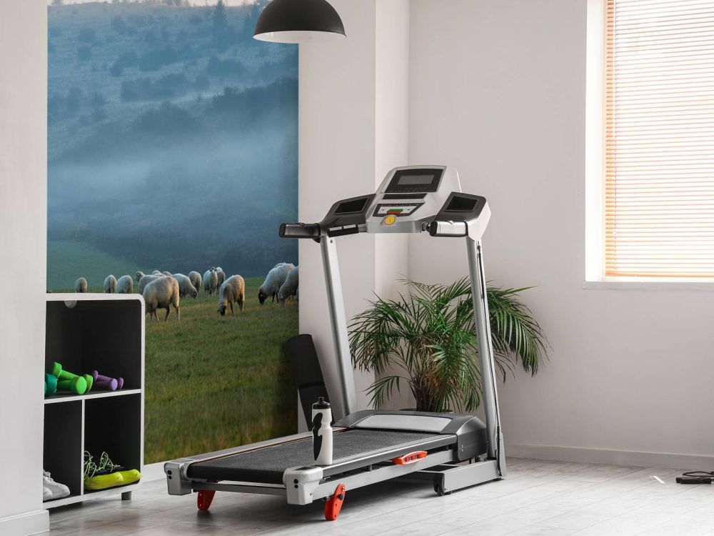 Kudde schapen met mistig landschap