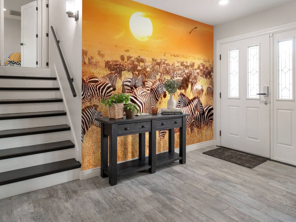 Savanne zon met zebra's