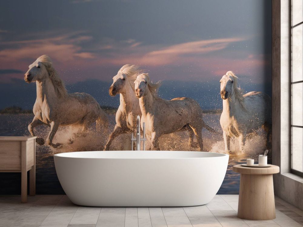 Angels of Camargue