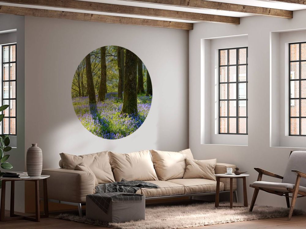 Lentepanorama in een bos