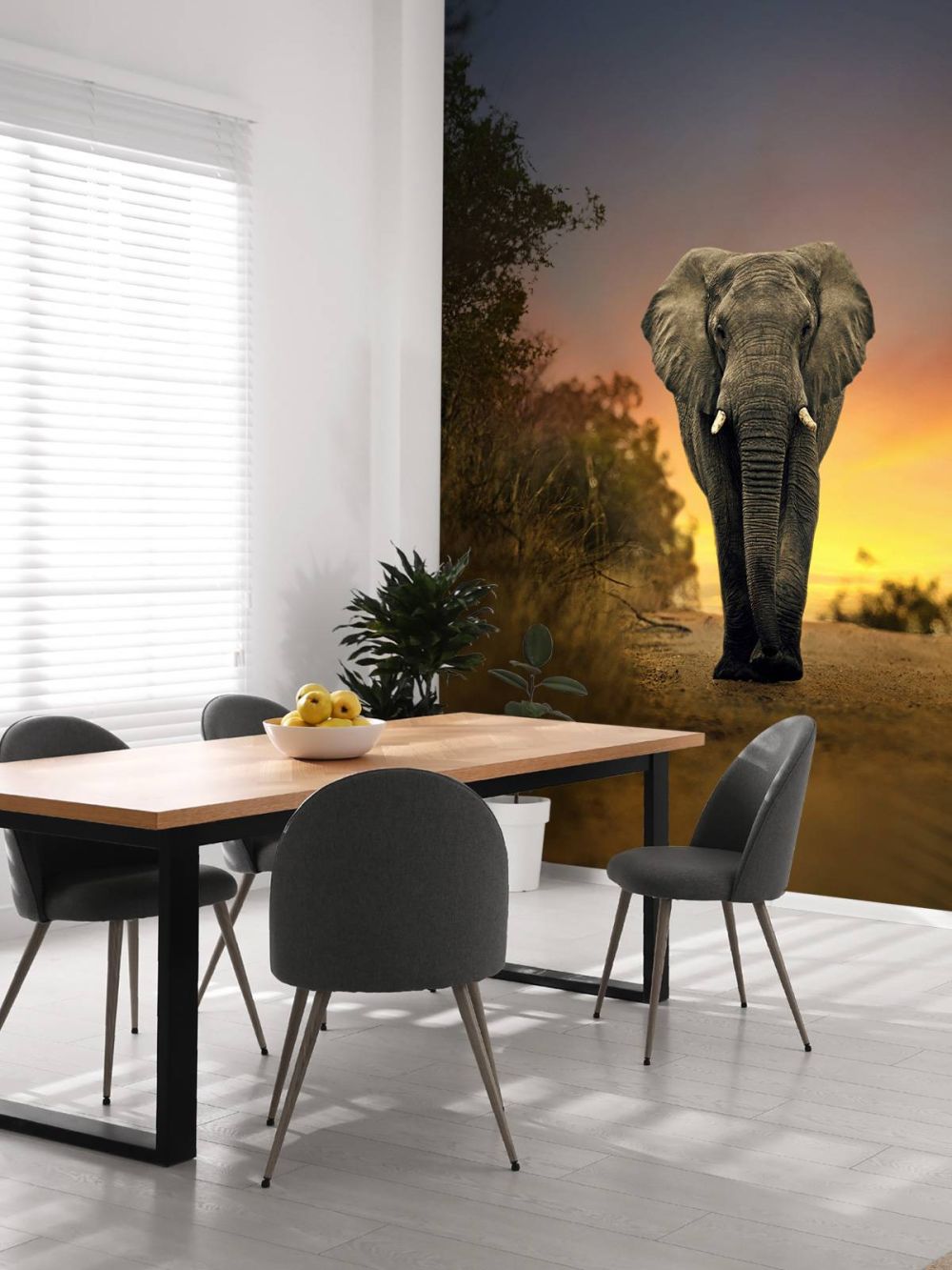 Olifant in de zonsondergang