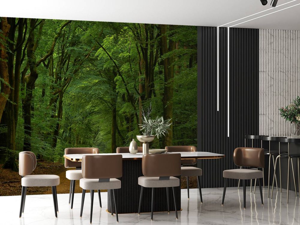 Weg door het bos