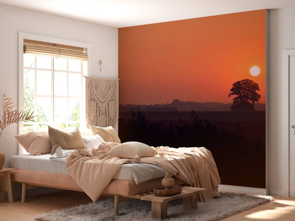 Zonsopkomst