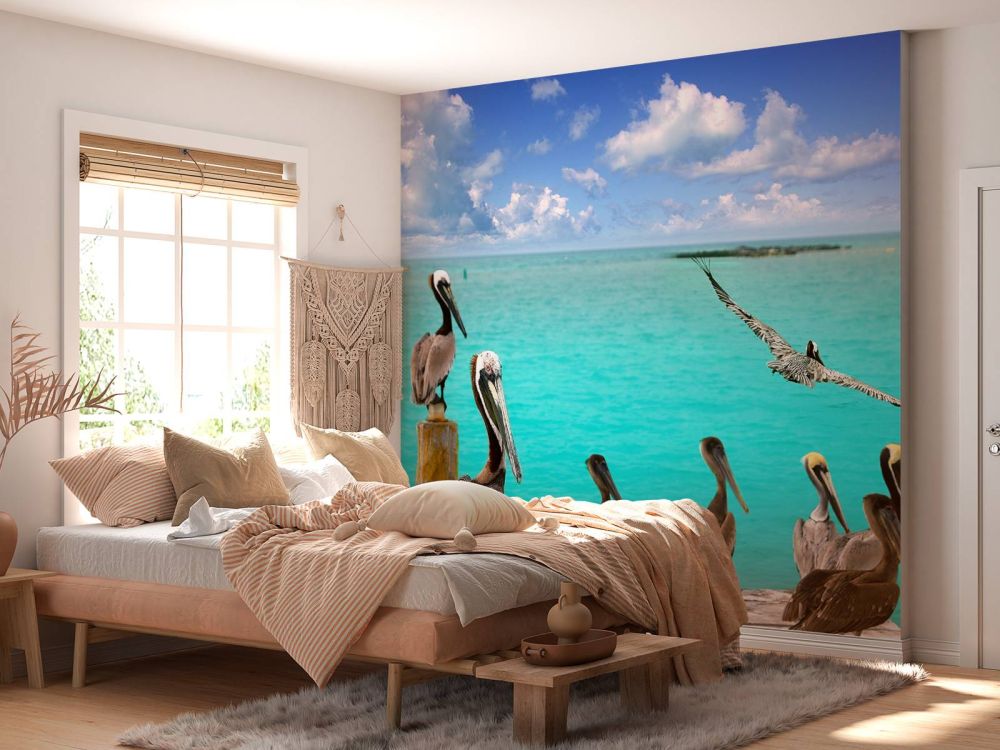 Caribische pelikaan