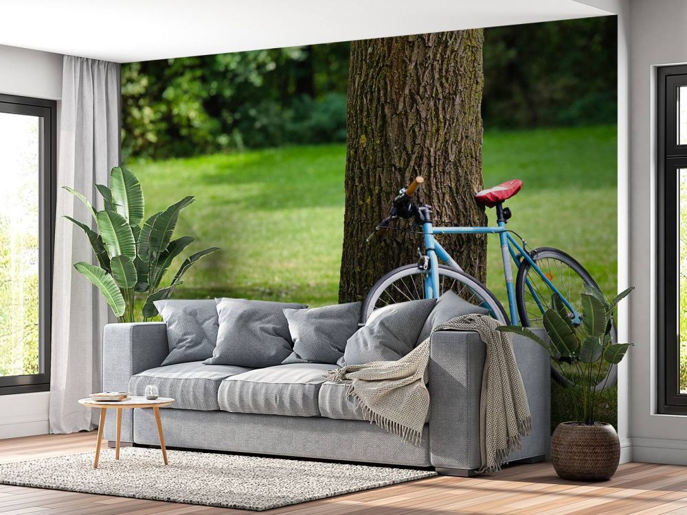 Fiets in het park