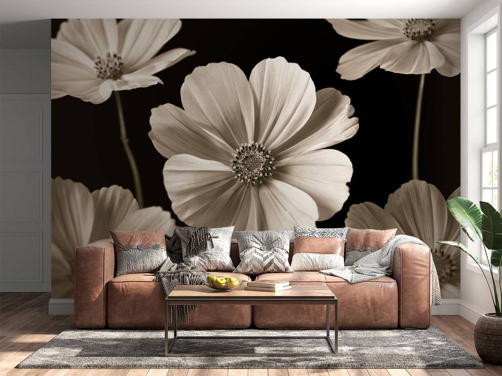 Meerder Cosmos bloemen