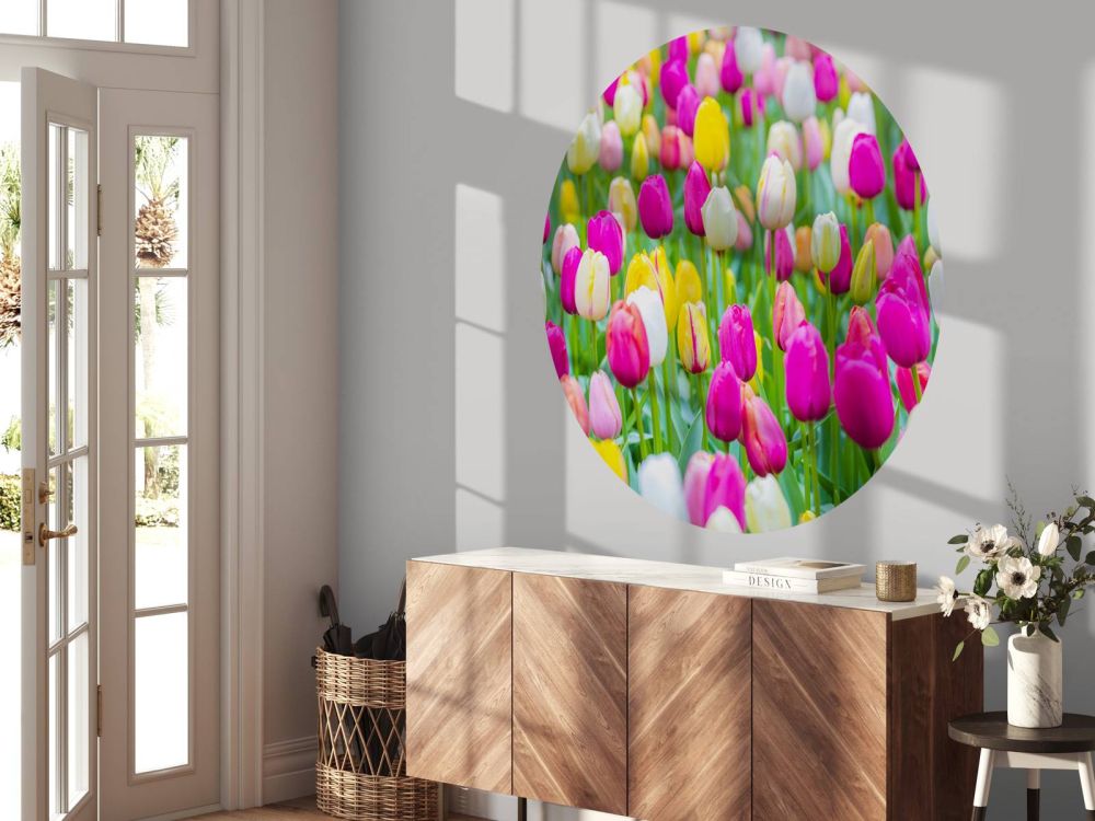 Kleurrijke tulpen in een veld