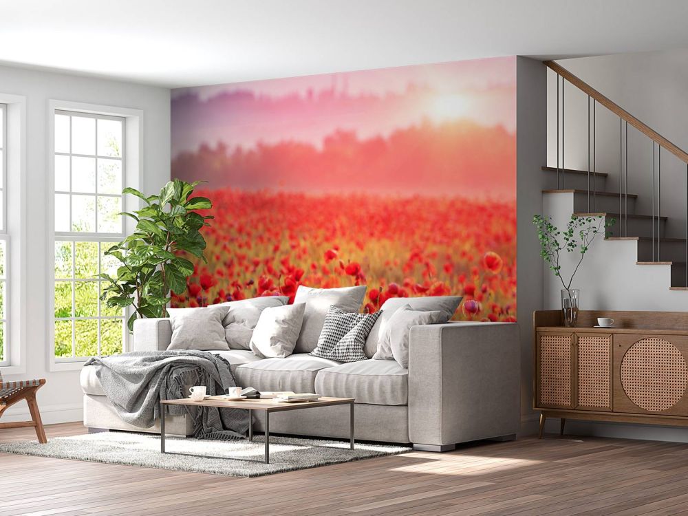 Veld vol klaprozen