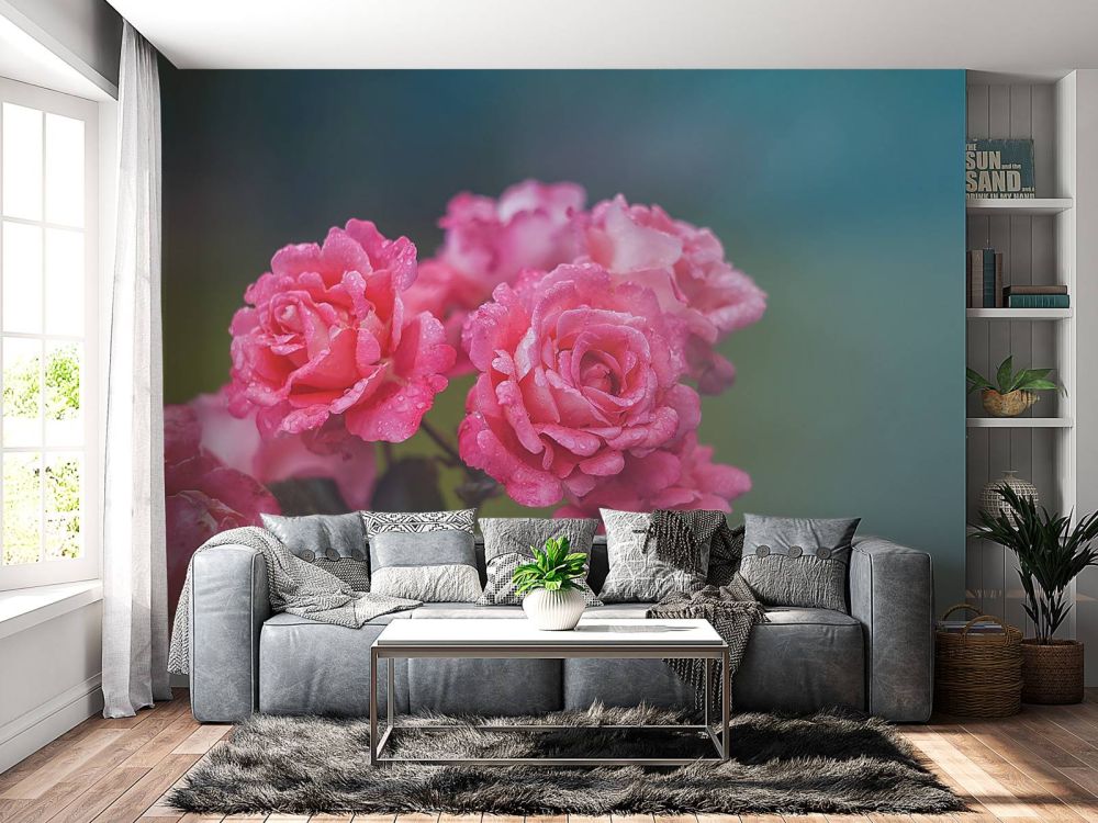 Roze rozentak