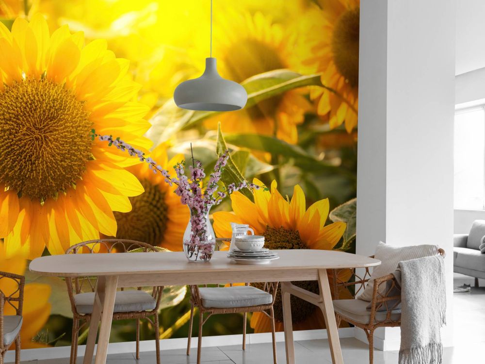 Zonnebloemen en zon