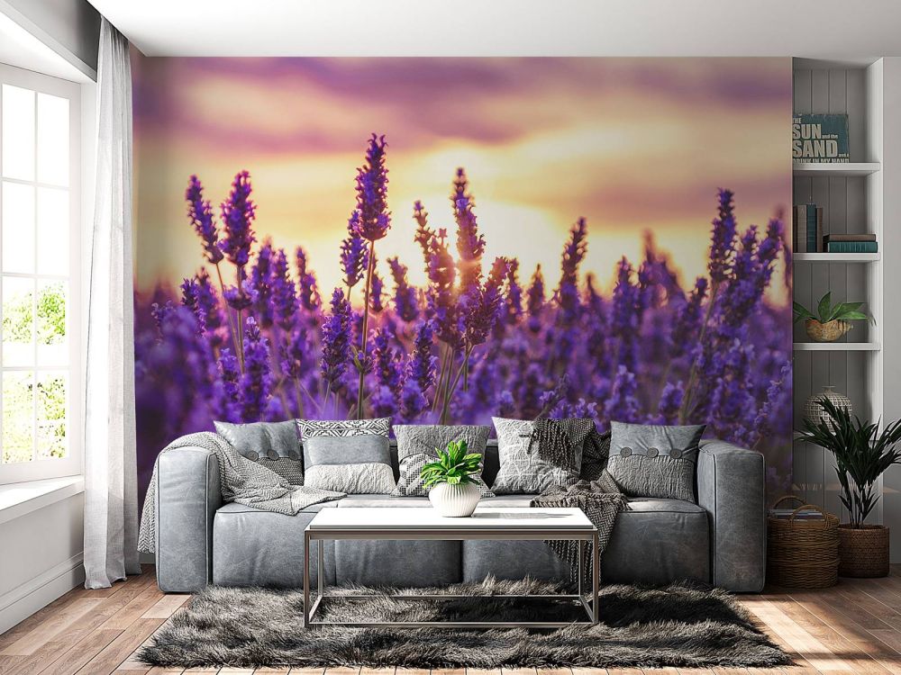 Lavendel bloemen