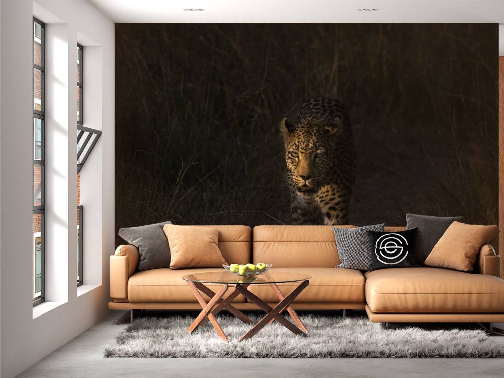 Luipaard met zonsondergang