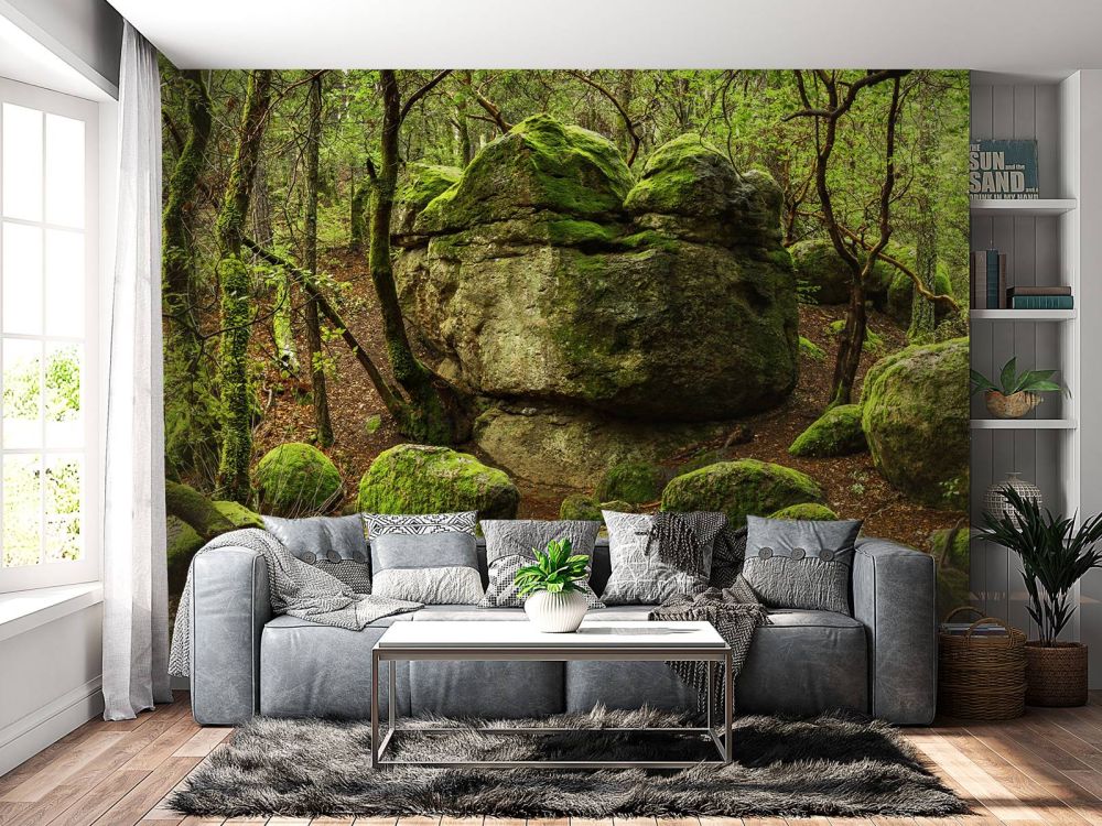 Betoverend bos