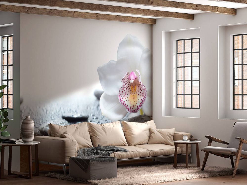 Witte orchidee