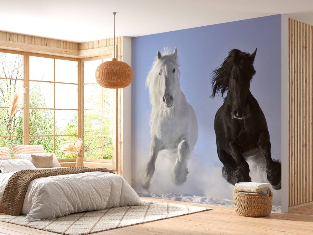 Wit en een zwart paard