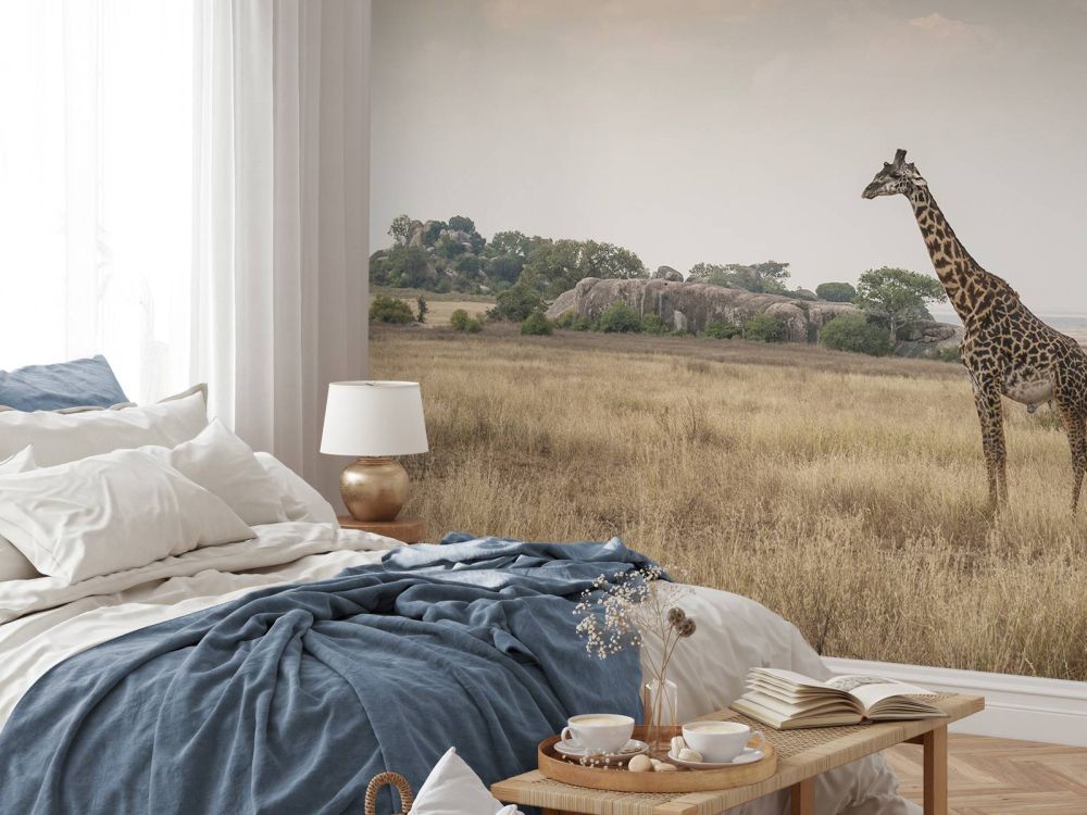 Giraffe op een savanne