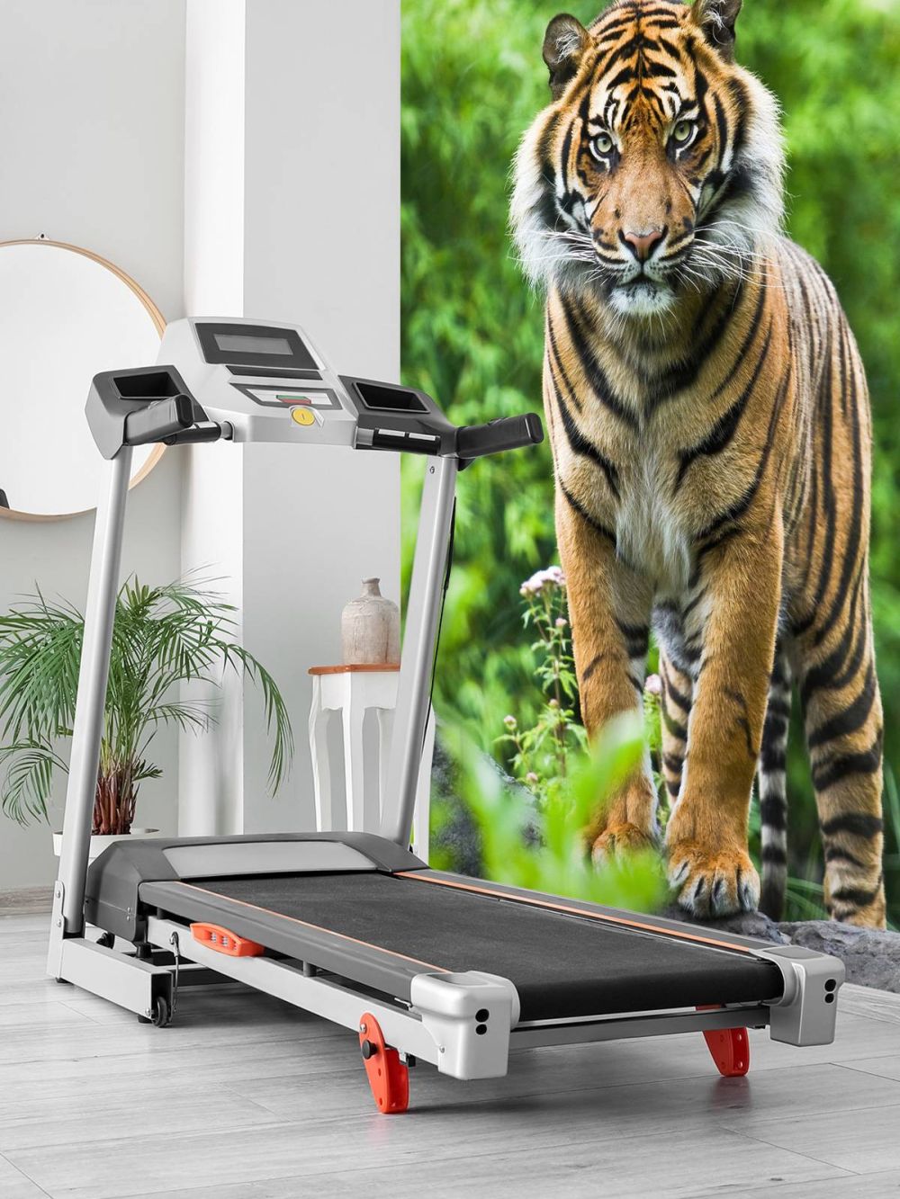 Tijger die op een steen staat