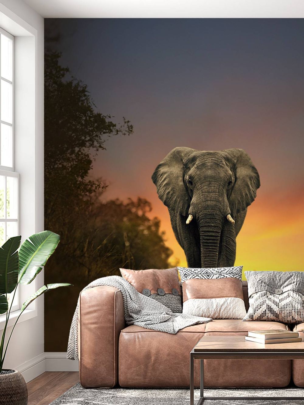 Olifant in de zonsondergang