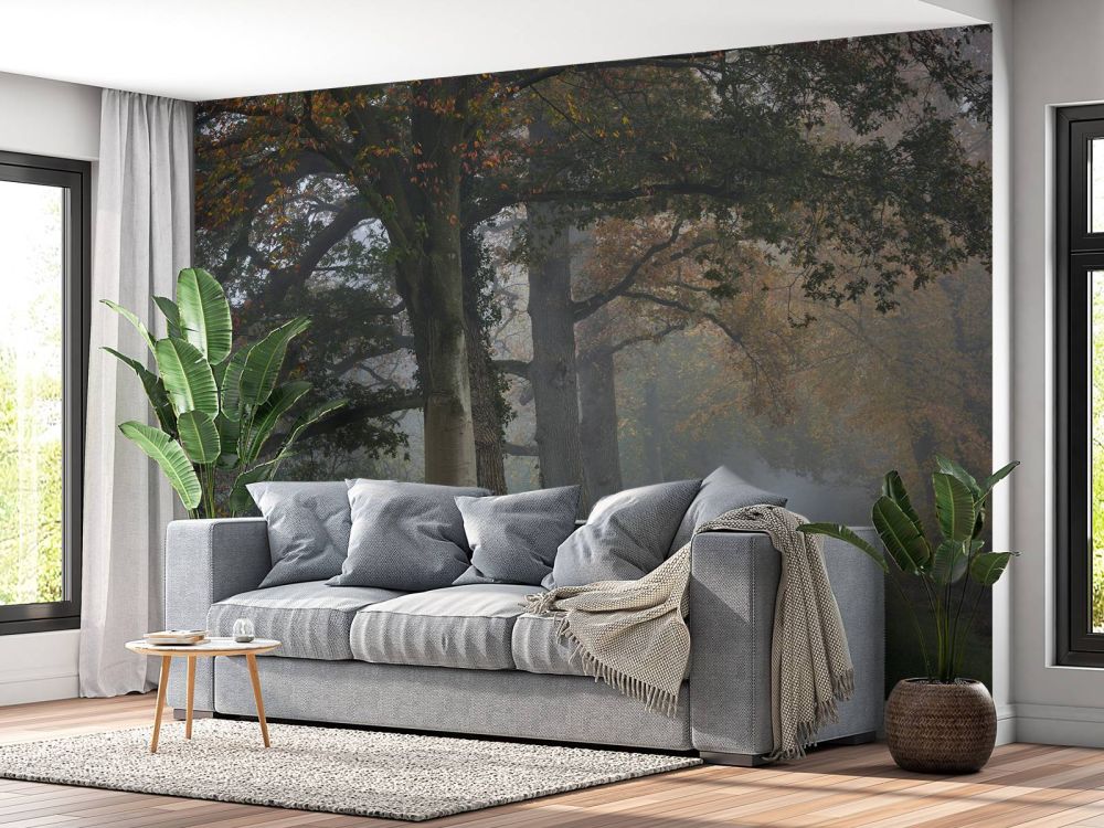 Laantje met bomen in de mist