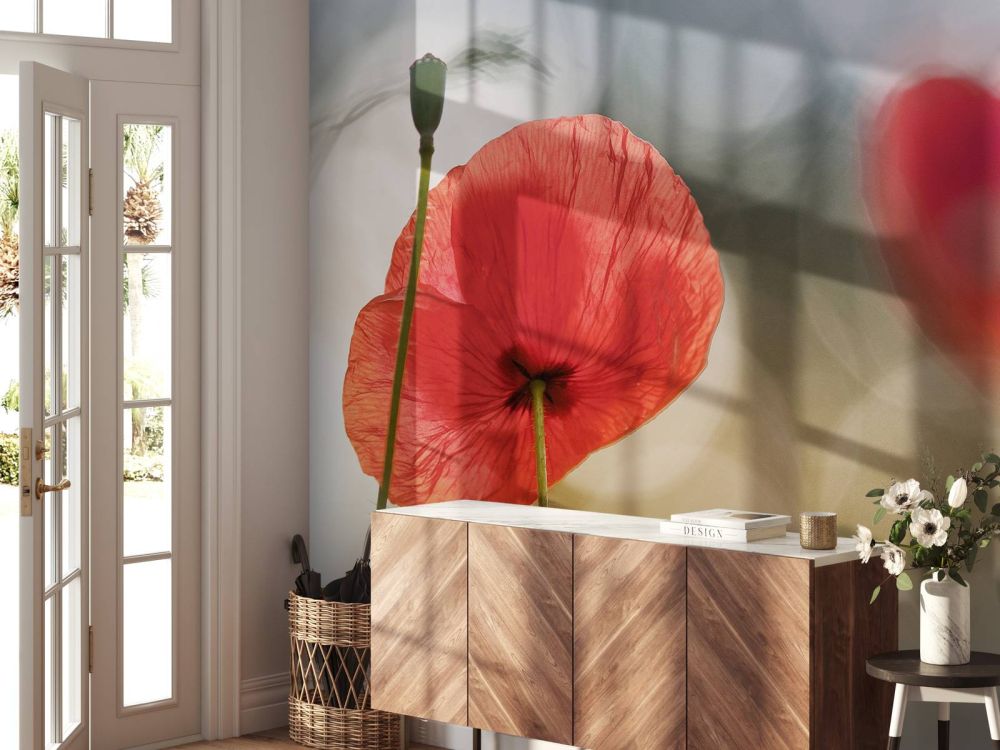 Morning Poppies