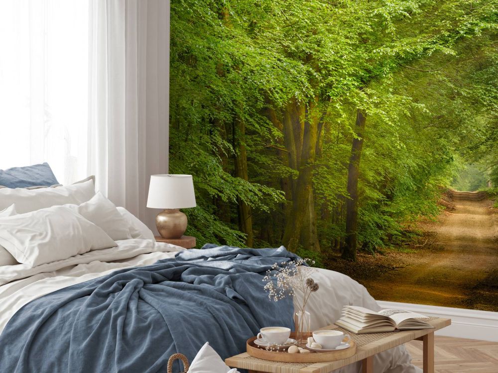 Pad in bos met zonnestralen 