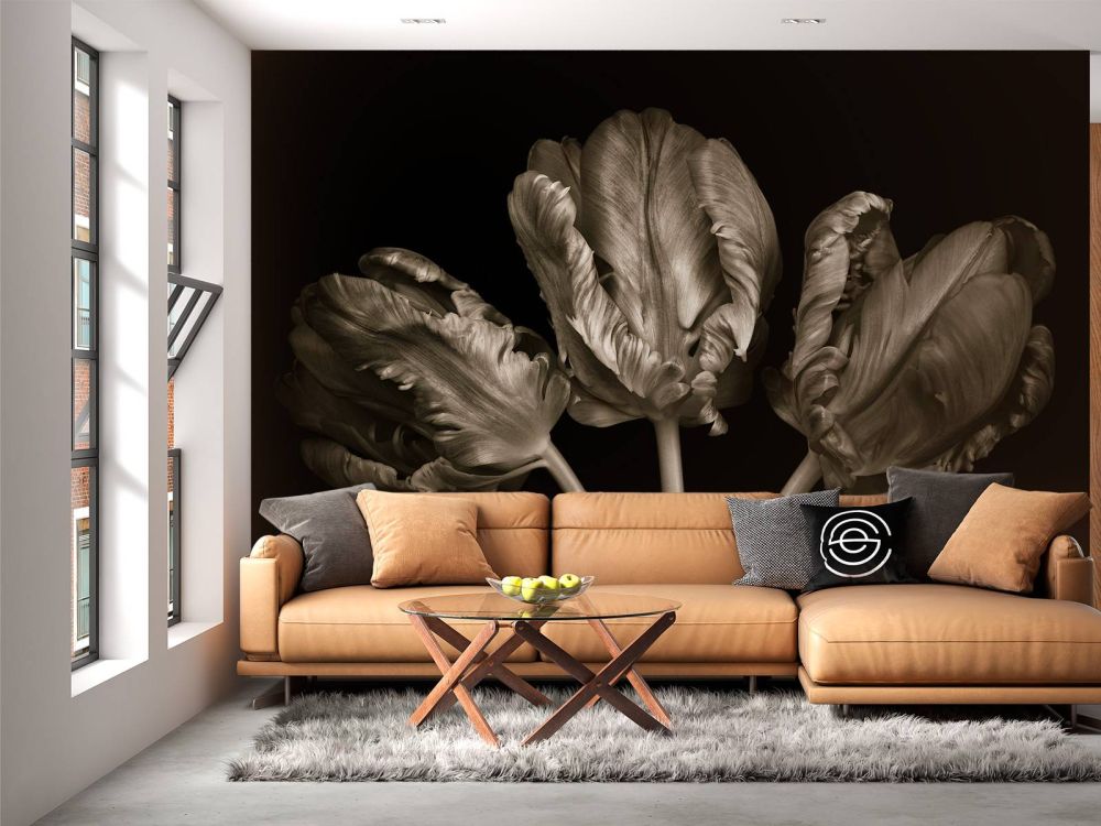 Drie Rococo tulpen