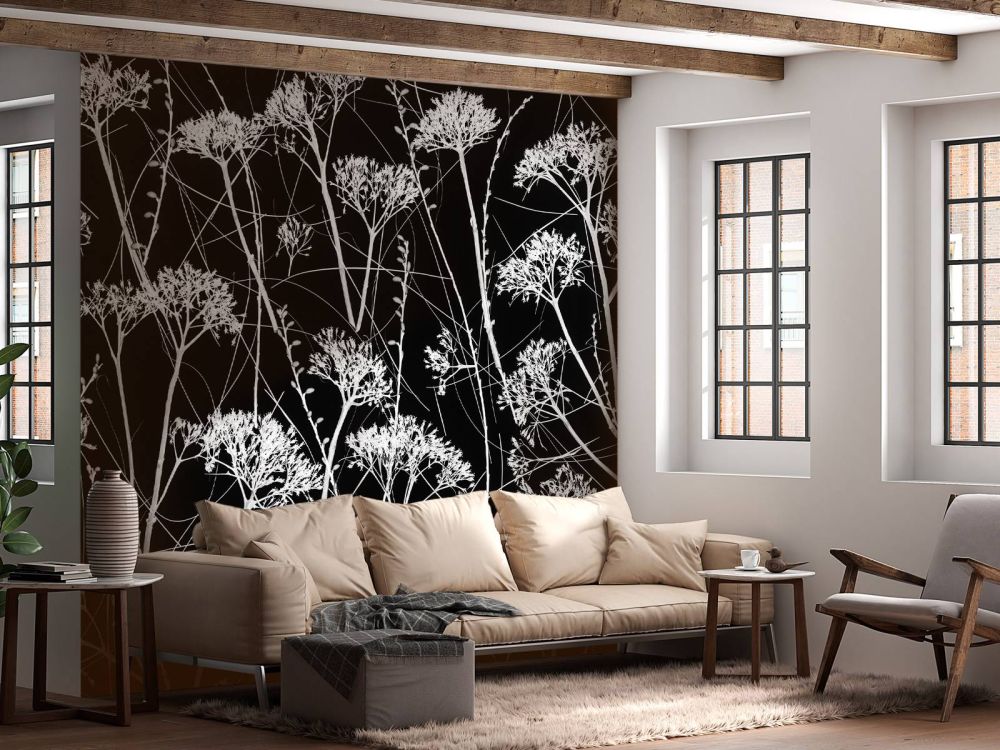 Silhouet van gedroogde planten