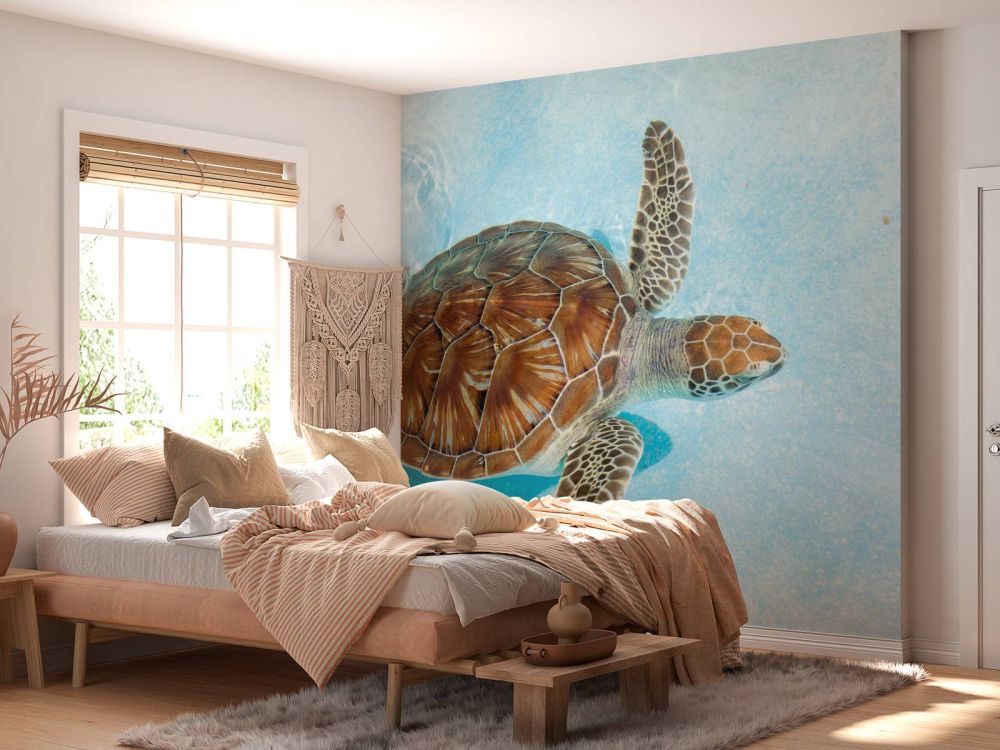 Schildpad in het water