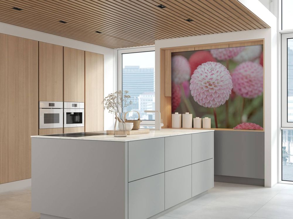 Roze dahlia bloemen