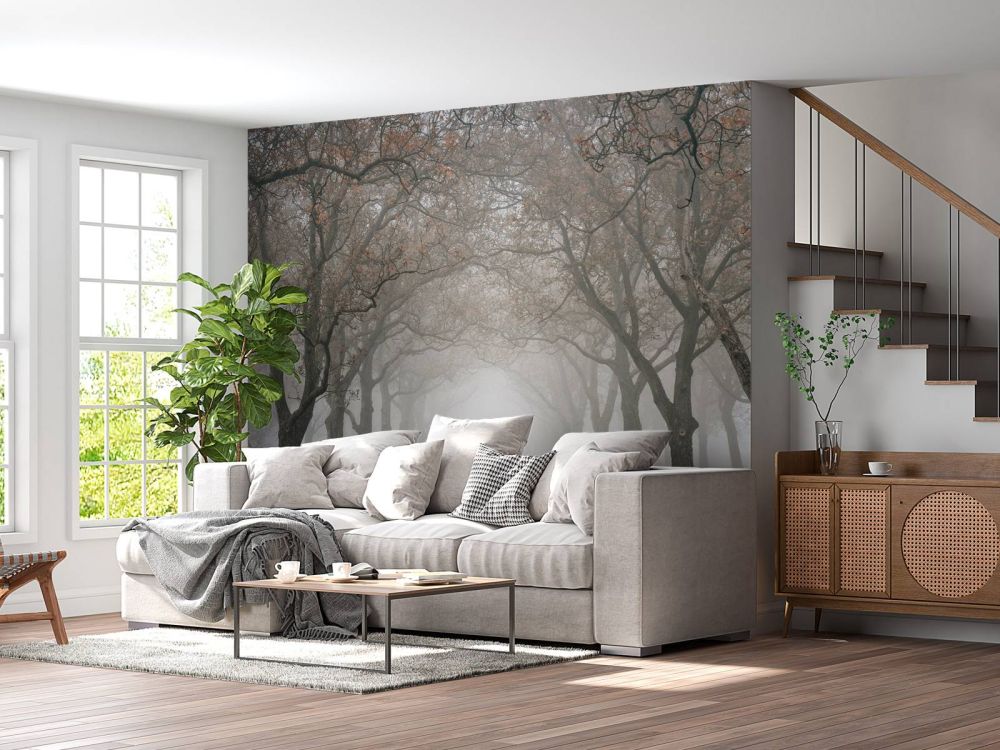 Weg met oude bomen