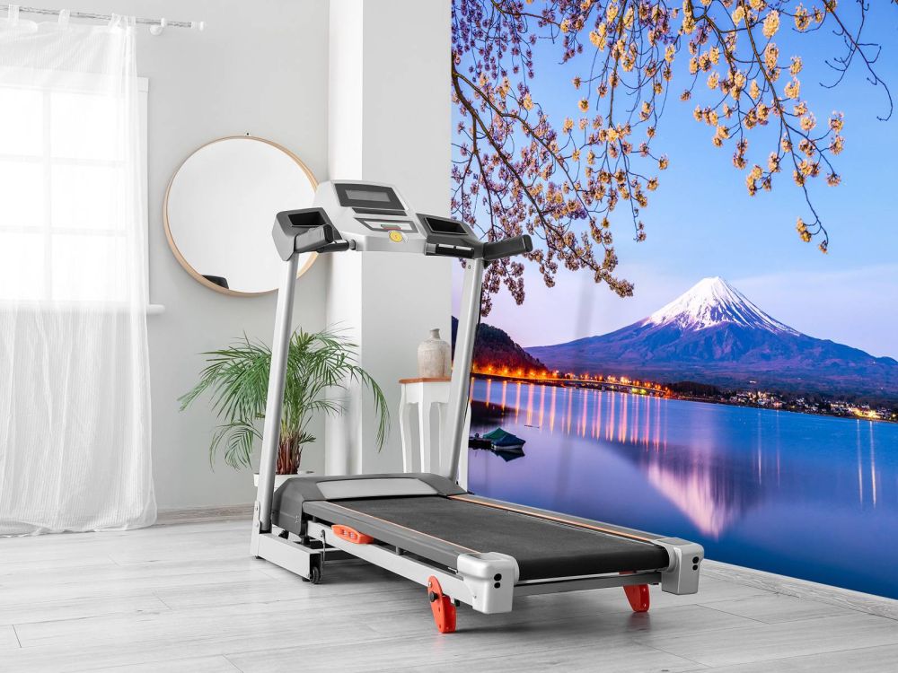De Fuji berg aan het water
